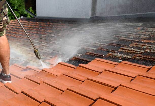 Best Power Washing Near Me  in Raoul, GA